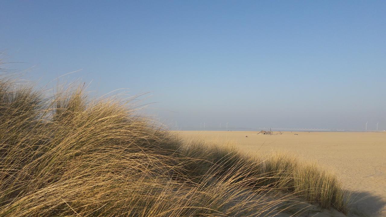 Vakantiehuizen Hofstede Elzenoord フラウヴェンポルデル エクステリア 写真